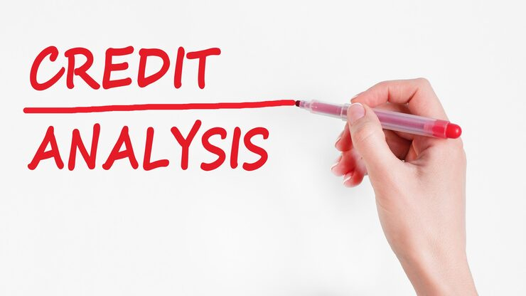 Behavioral Credit Analysis