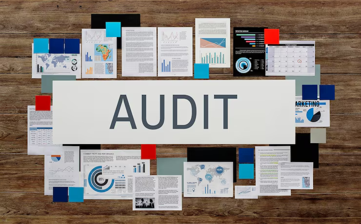 Audit Beyond Compliance