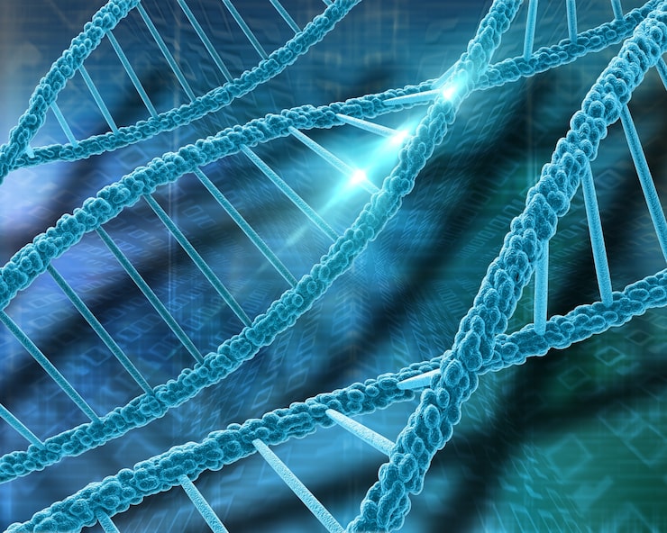 DNA Perbankan Unggul: Membangun SDM dari Dalam ke Luar