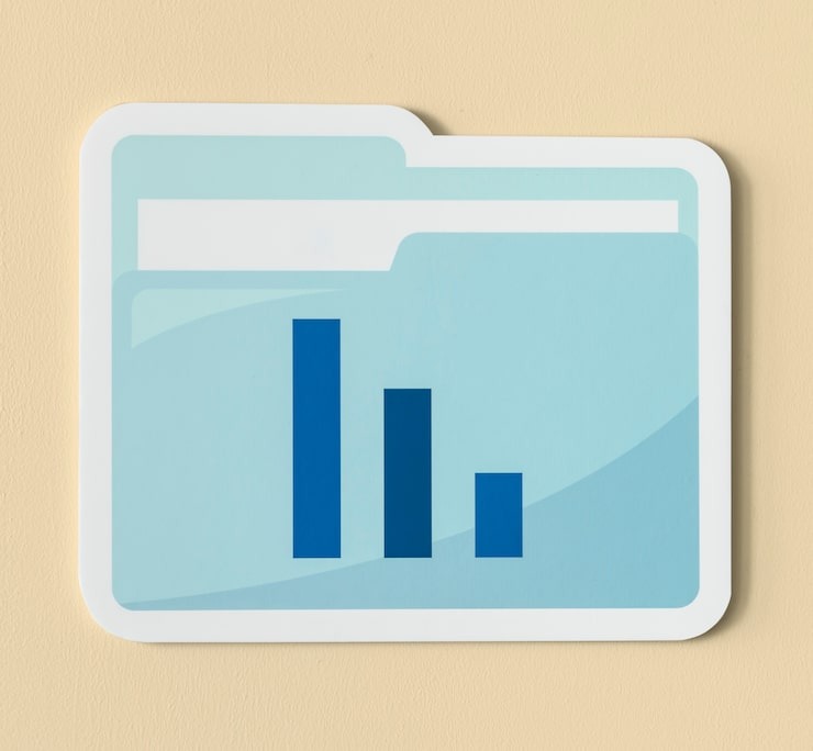 Internal Control over Financial Reporting (ICOFR)