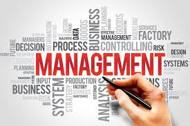 Strategic HR Business Partner in Digital Banking